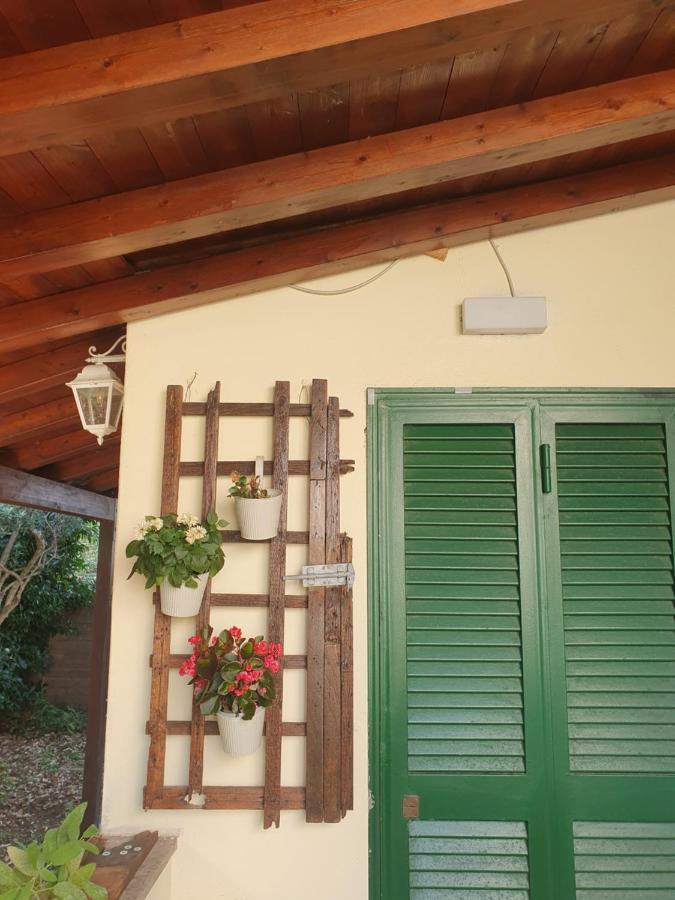 Villa Andrea'S House Fiumicino Exterior foto